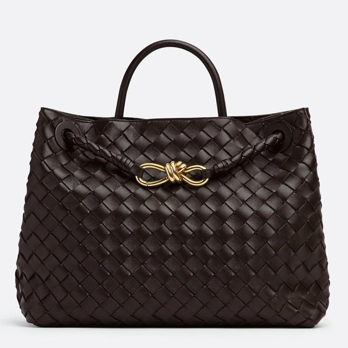 Bottega Veneta Large Andiamo Bag Fondant
