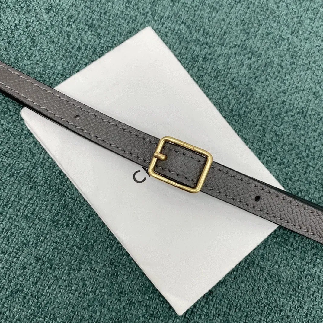 Celine Belt Nano Bag in Grey — image 8