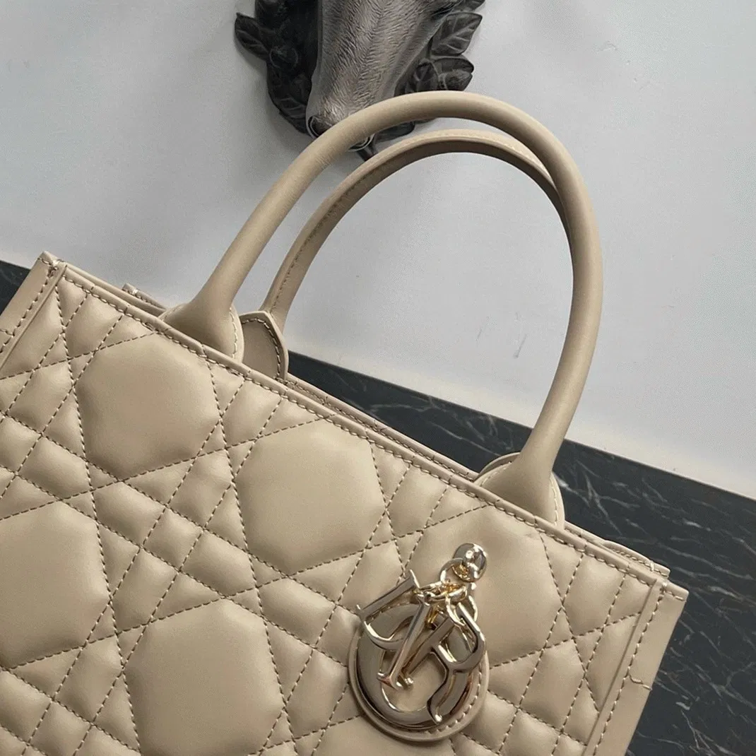 Dior Small Book Tote Bag with Strap in Beige — image 8