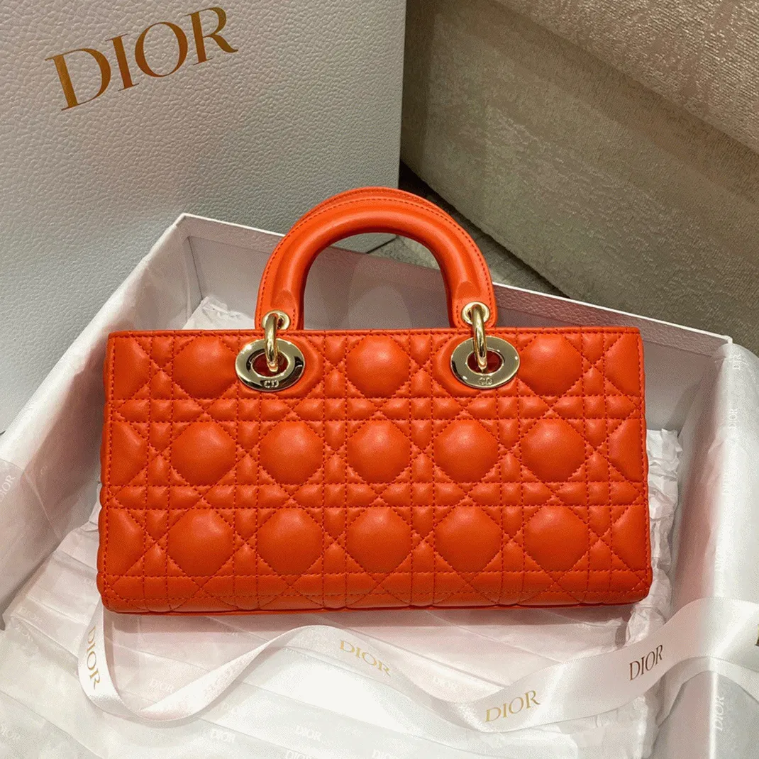 Dior Lady D-Joy Medium Bag in Orange — image 4