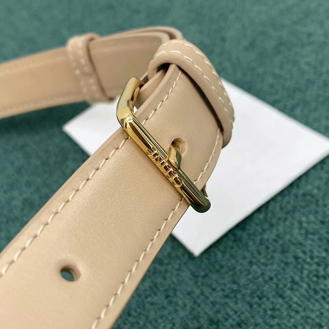 Top Quality Imitation Celine Triomphe Medium Bag In Nude — image 4