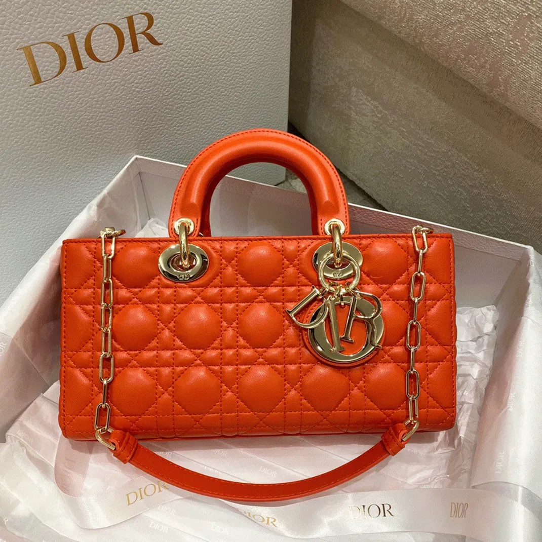 Dior Lady D-Joy Medium Bag in Orange — image 11