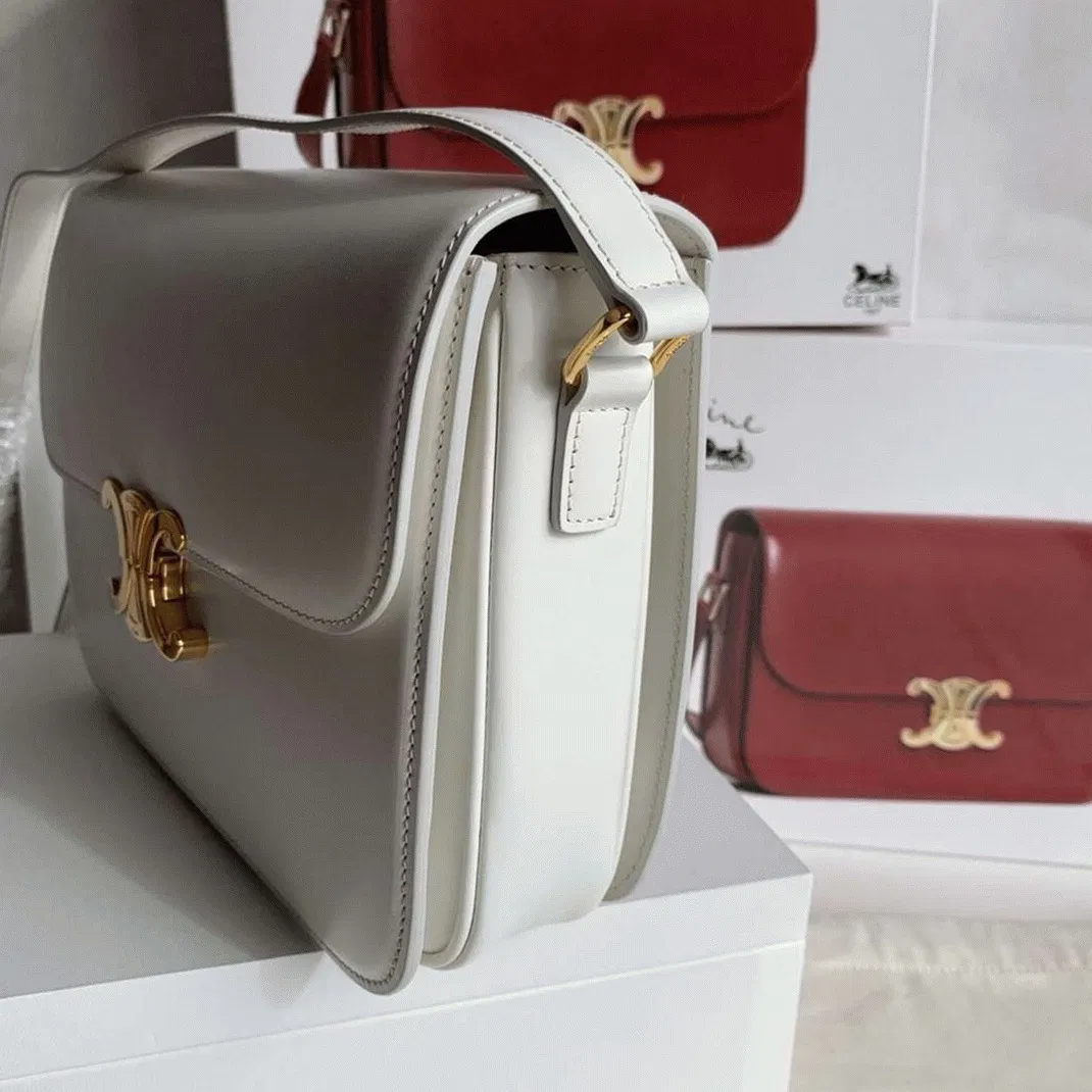 Top Quality Celine Triomphe Large Bag In White — image 8