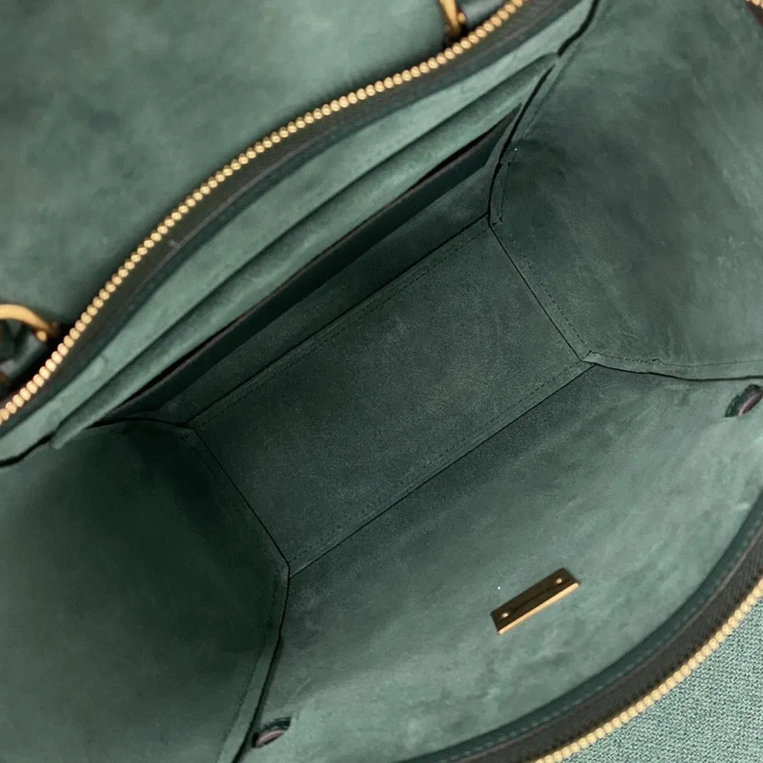 Celine Micro Belt Bag in Amazone — image 11