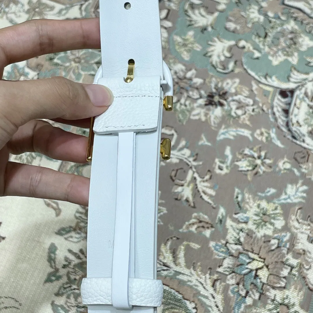 LV Detroit — image 3
