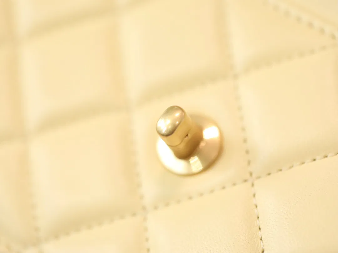Chanel WOC — image 12