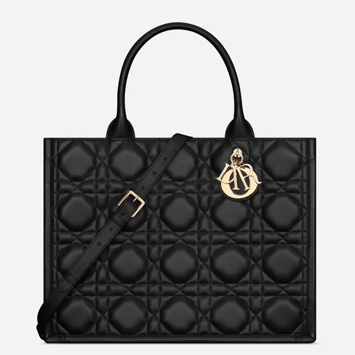 Dior Medium Book Tote Bag with Strap in Black