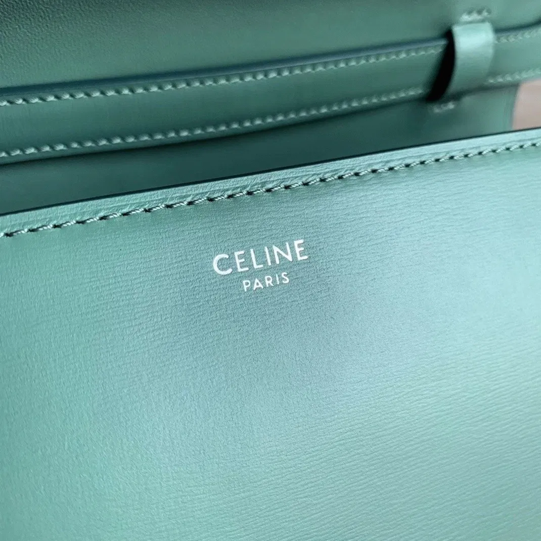 Top Quality Celine Classic Box Medium Bag In Celadon — image 10
