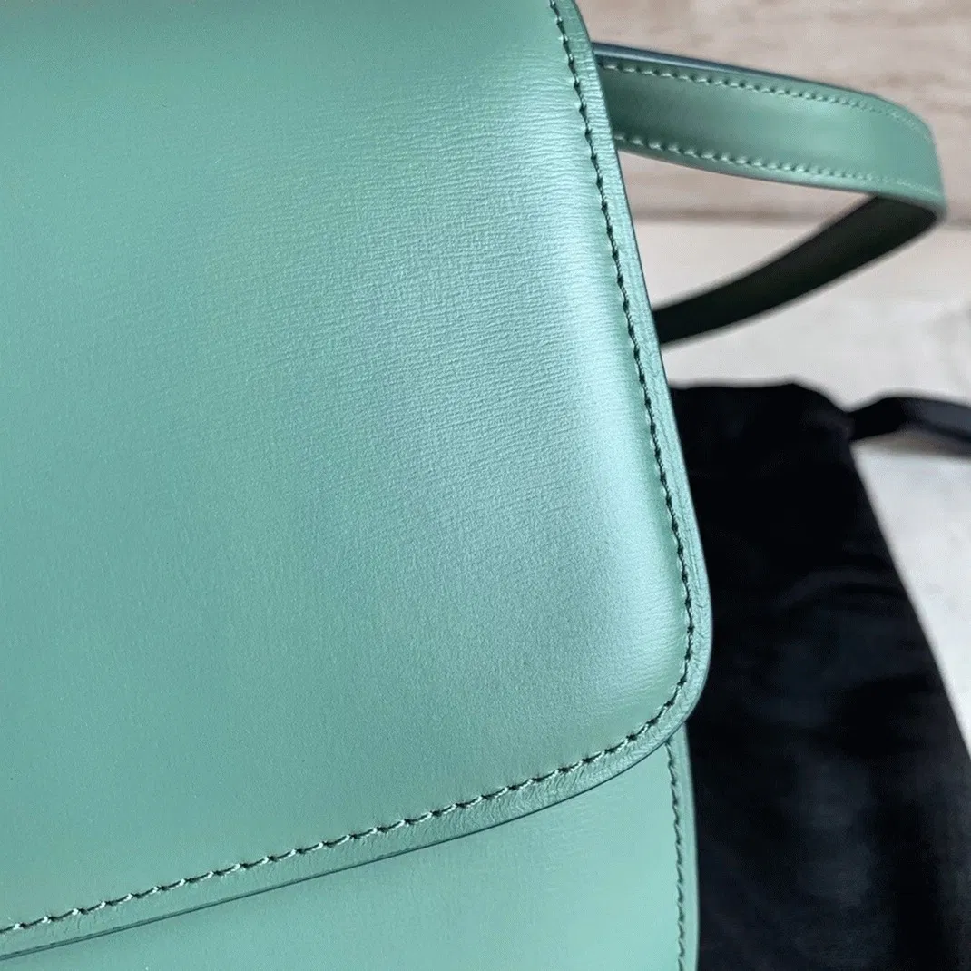Top Quality Celine Classic Box Medium Bag In Celadon — image 6