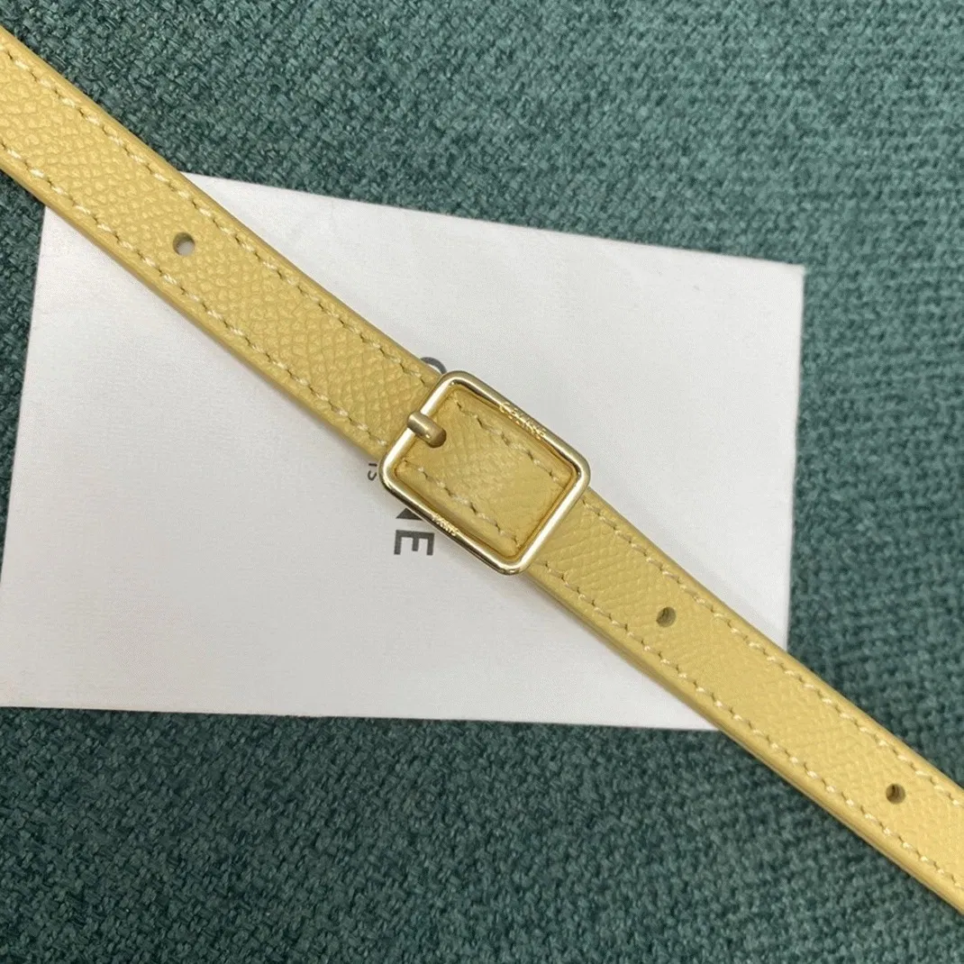 Celine Belt Nano Bag in Yellow — image 6