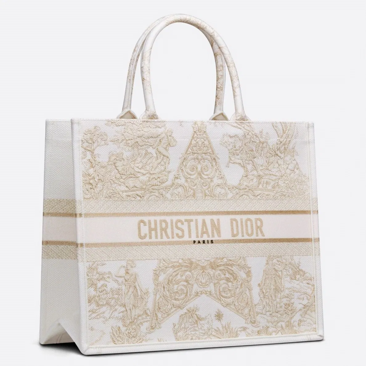 Dior Large Book Tote Bag in Dior Around the World Stella Embroidery
