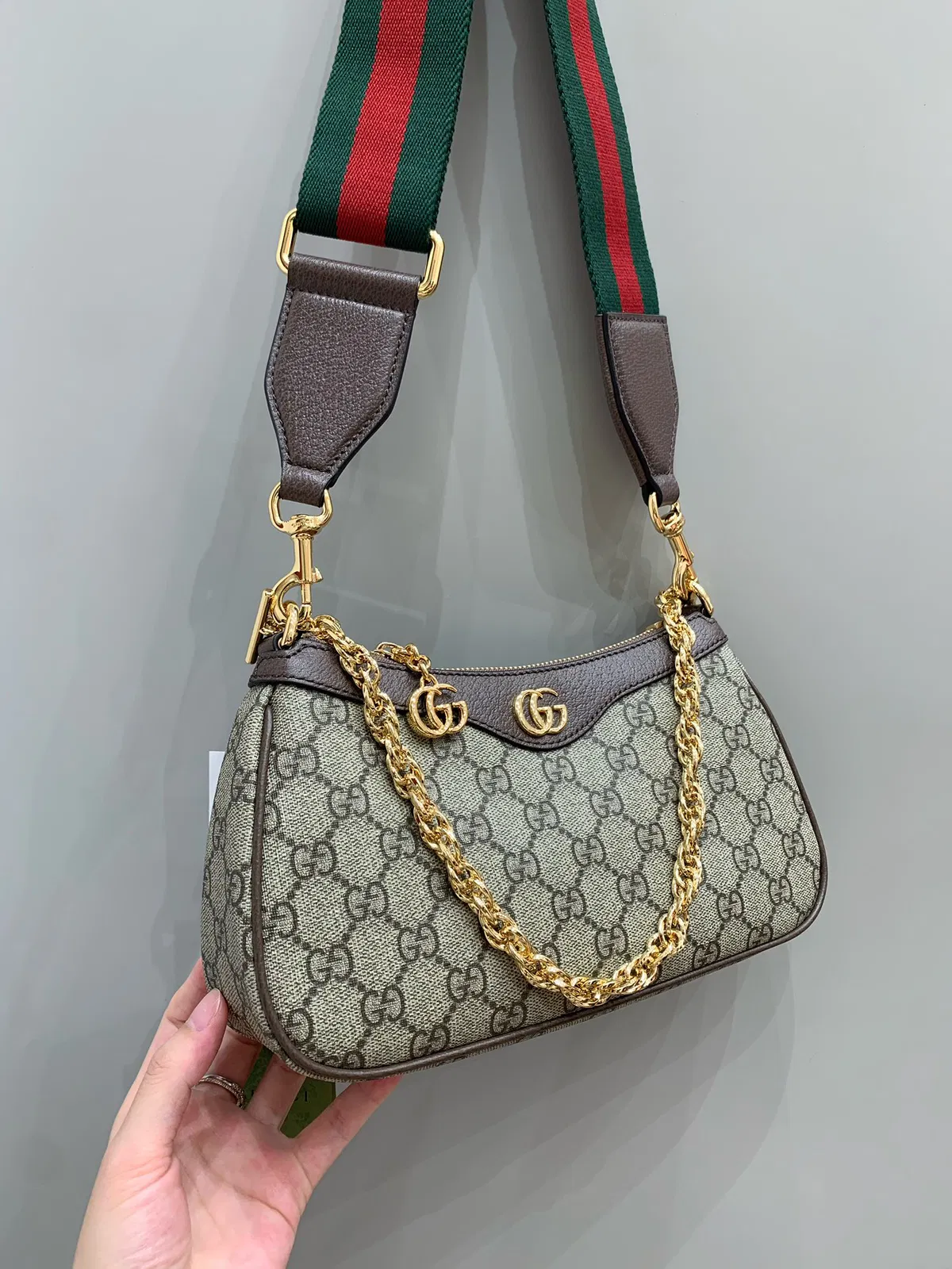 GG ophidia — image 2