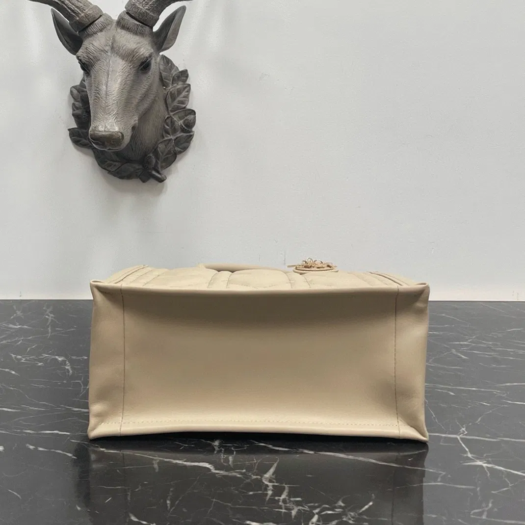 Dior Small Book Tote Bag with Strap in Beige — image 6