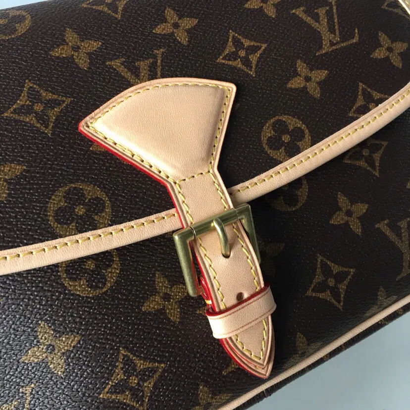 Louis Vuitton Sologne Monogram Shoulder Bag — image 5