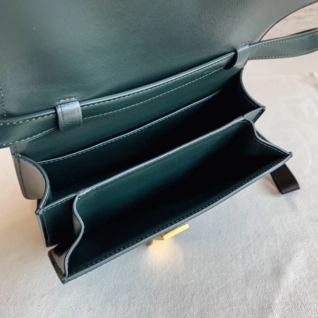 Top Quality Celine Classic Box Medium Bag In Amazone — image 3