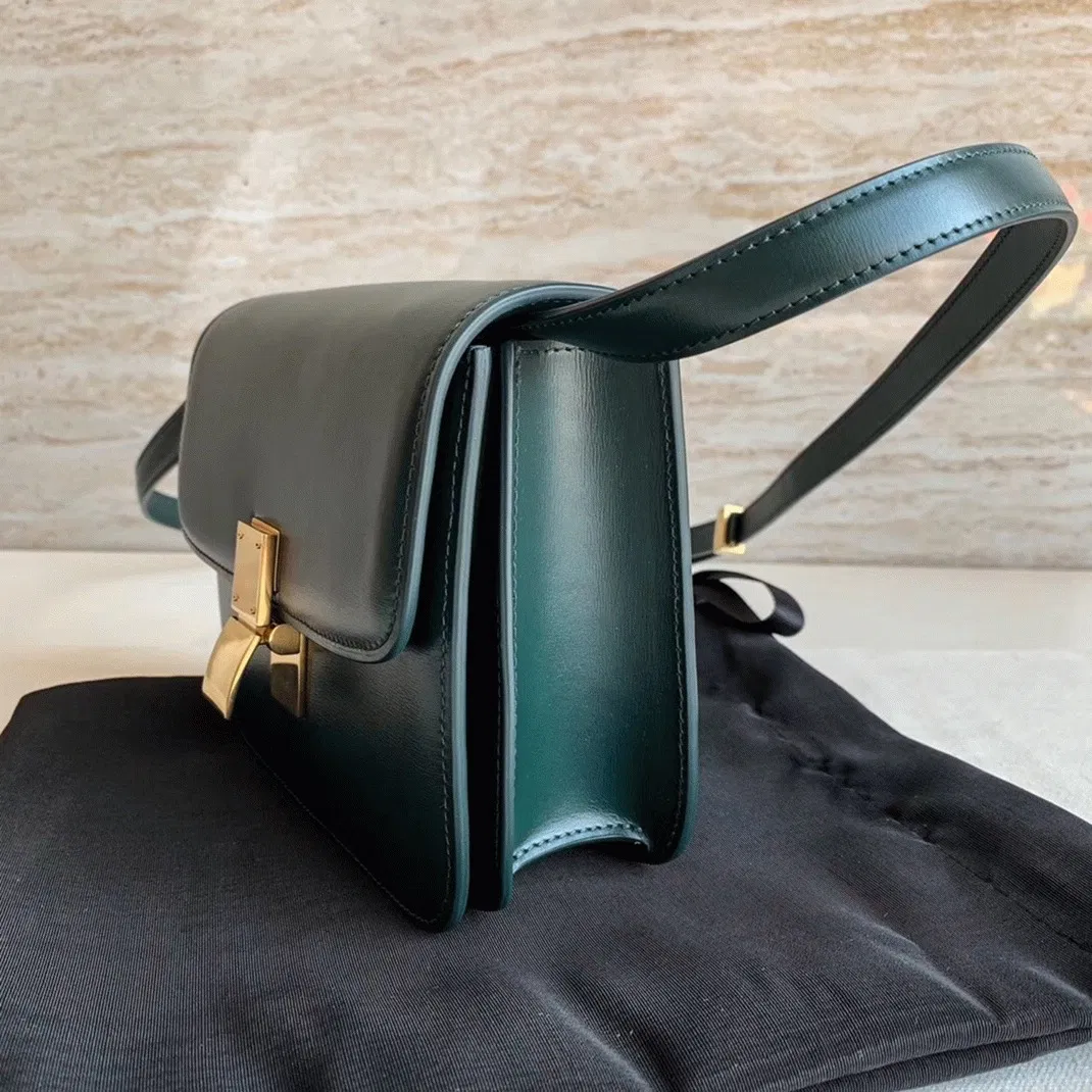 Top Quality Celine Classic Box Medium Bag In Amazone — image 9