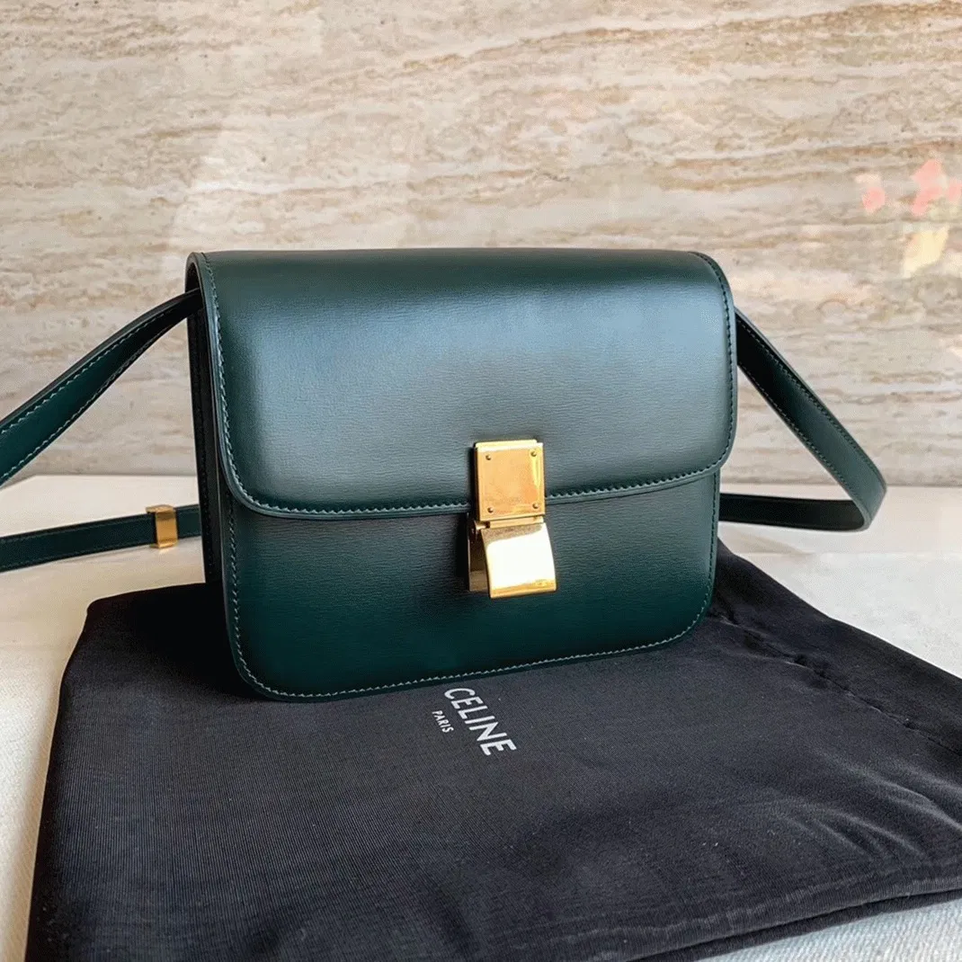 Top Quality Celine Classic Box Medium Bag In Amazone — image 11