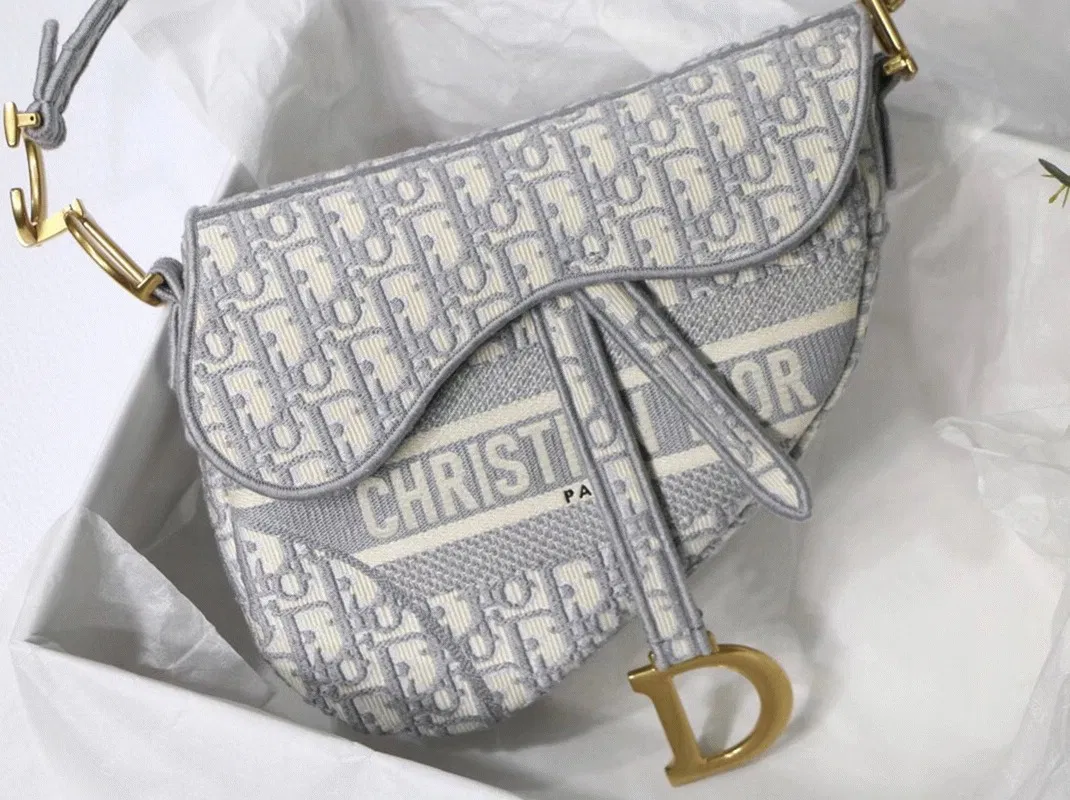 Dior Saddle Bag Knockoff in Grey Dior Oblique Embroidery — image 2