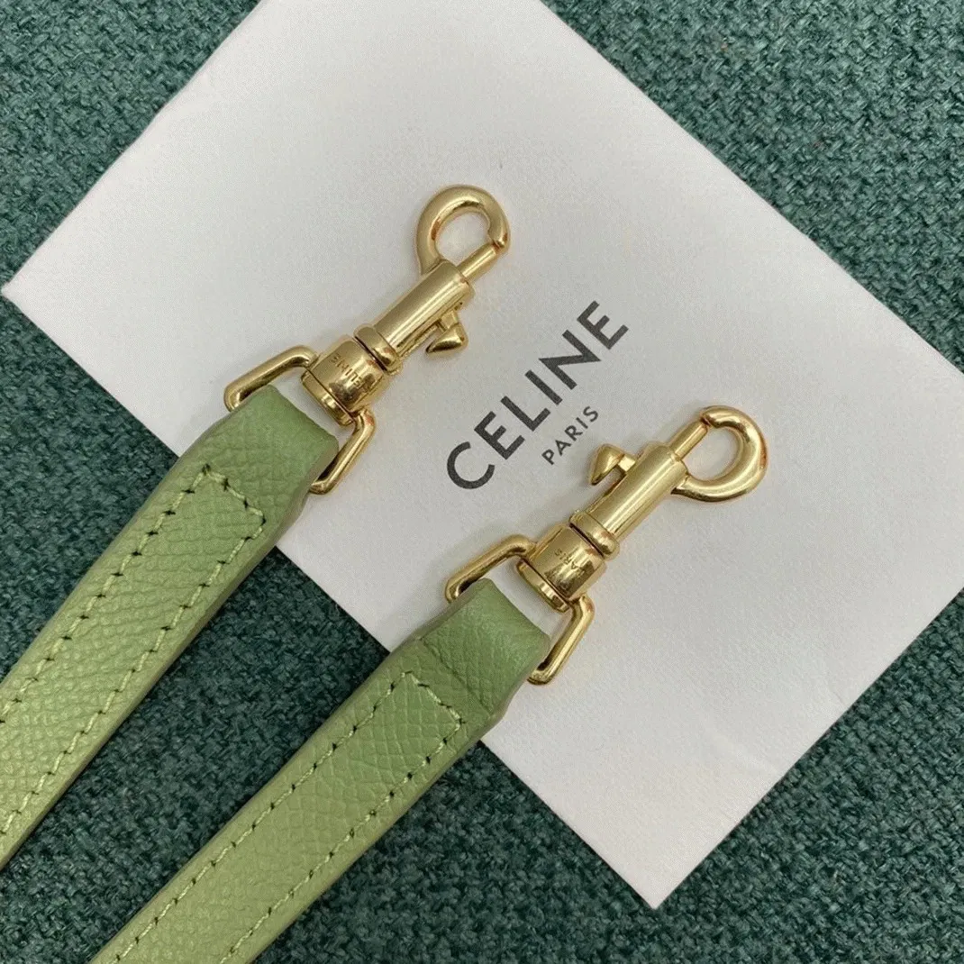 Celine Belt Nano Bag in Sage — image 6