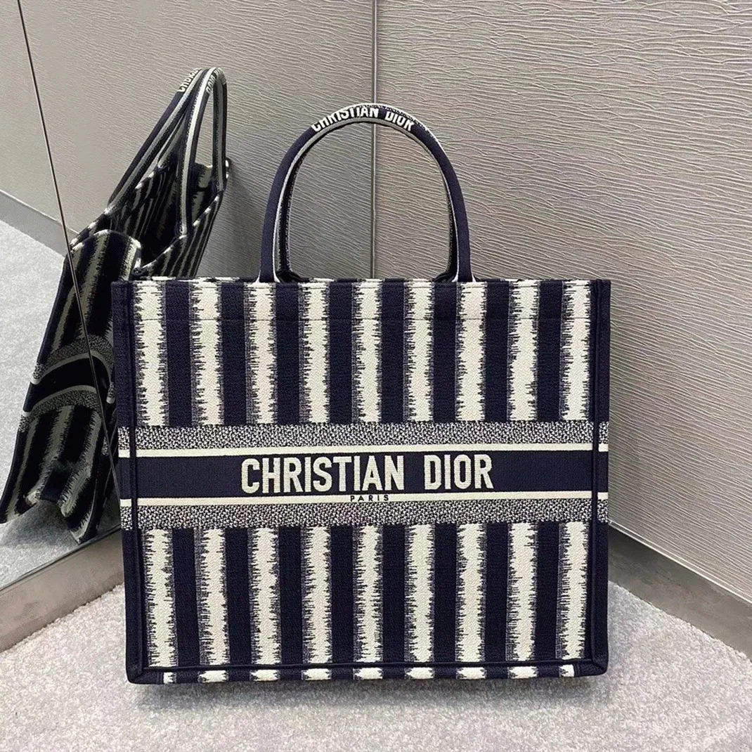 Dior Large Book Tote Bag in Blue Stripes Embroidery