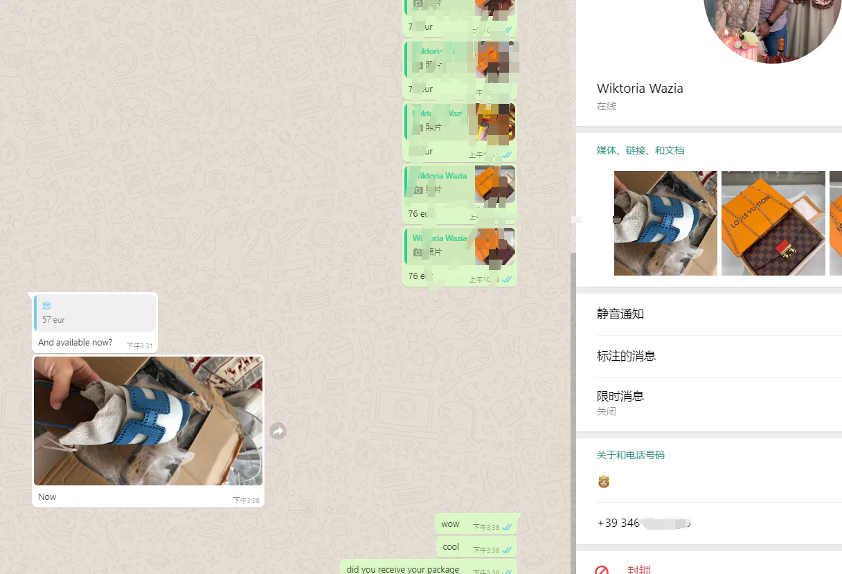 WhatsApp customer review from Italy