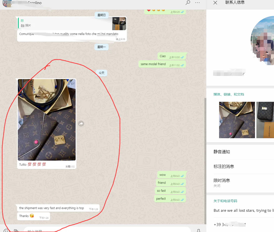 WhatsApp customer review from Italy